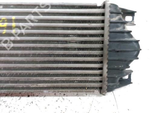 Intercooler OPEL MOVANO A Van (X70)  | BP21445256M30 