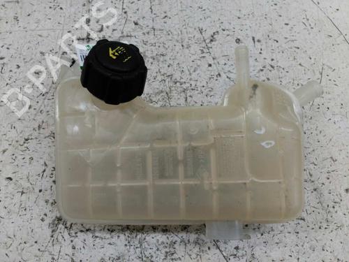 Used Expansion tank RENAULT GRAND SCÉNIC II (JM0/1_) [2004-2009]  21444715