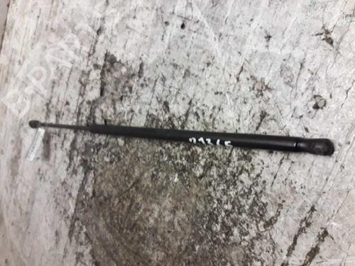 Tailgate lift support FORD FIESTA V (JH_, JD_)  | BP21472688C138 