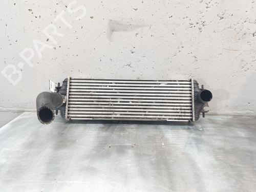 Intercooler RENAULT TRAFIC II Van (FL) [2001-2025]  30315014