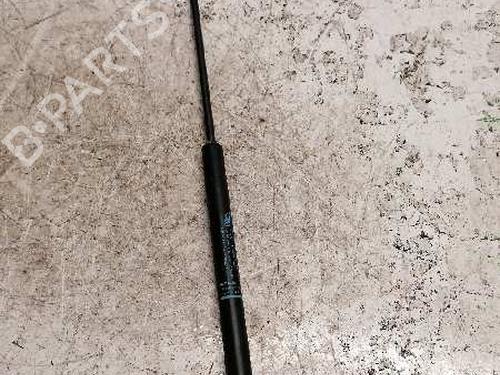 Tailgate lift support CITROËN C4 I (LC_)  | BP21478896C138 