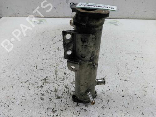 Egr BMW 3 (E46) 320 d | BP21437993M69 