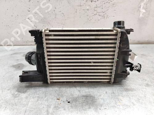 Intercooler DACIA SANDERO II TCe 90 LPG (B8M1) (90 hp) 22734284