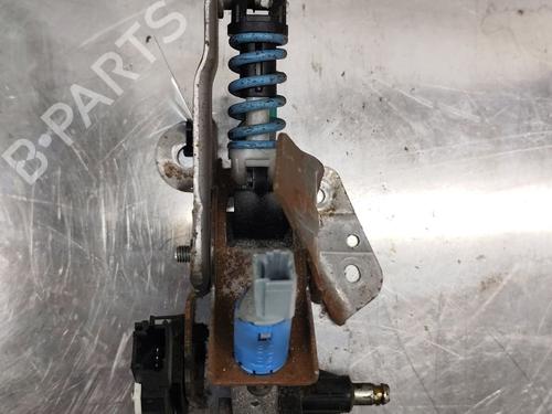 Break pedal RENAULT SCÉNIC II (JM0/1_)  | BP29618876I19 