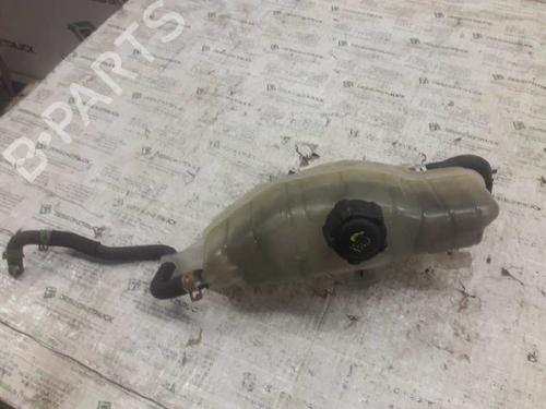 Used Expansion tank RENAULT CLIO III (BR0/1, CR0/1) [2005-2014]  21470086