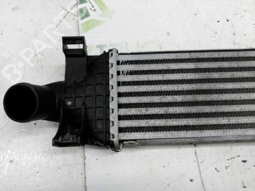 Intercooler FORD FOCUS C-MAX (DM2)  | BP21440224M30 
