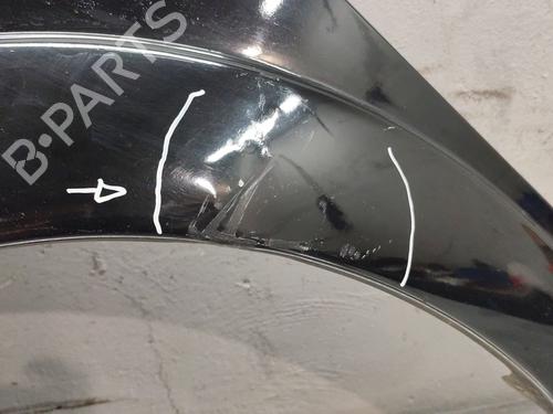 Left front fenders CITROËN C3 I (FC_, FN_) 1.4 i | BP30181863C41