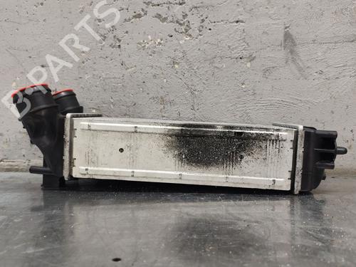 Intercooler CITROËN C4 II (NC_) | BP31317464M30