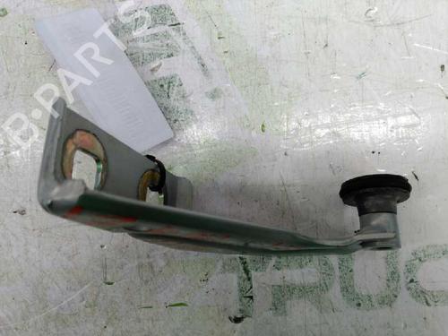 Hinge/Door check strap RENAULT KANGOO Express (FC0/1_)  | BP21434211C146 