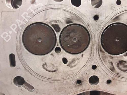 Cylinder head RENAULT MEGANE II (BM0/1_, CM0/1_)  | BP21454033M5 