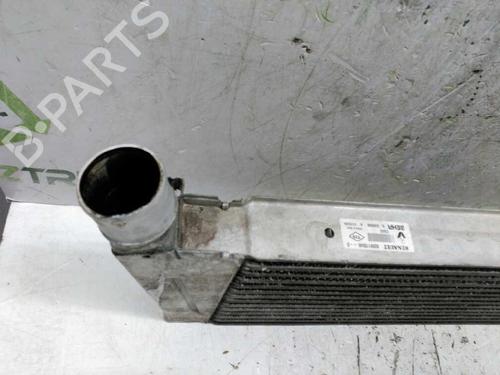Intercooler RENAULT MEGANE II (BM0/1_, CM0/1_)  | BP21435375M30 