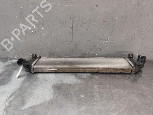 Intercooler FORD FOCUS C-MAX (DM2) | BP35776669M30 - Image 4