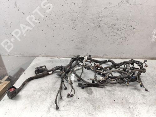 BP25446973O1 main image