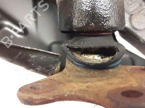 Left front steering knuckle SEAT IBIZA III (6L1)  | BP21454704M25 