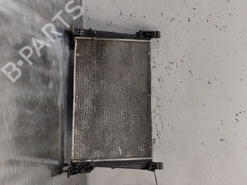 Water radiator OPEL CORSA D (S07) 1.3 CDTI (L08, L68) | BP29113617M31 