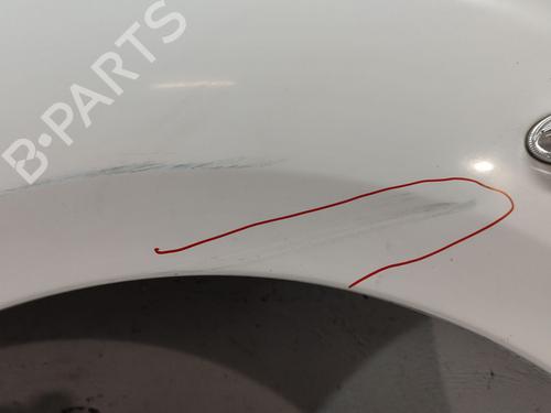 Left front fenders PEUGEOT PARTNER Tepee 1.6 BlueHDi 100 | BP28689940C41 