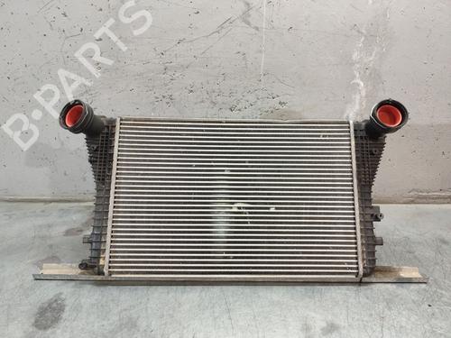 Intercooler VW GOLF V (1K1) 1.9 TDI (105 hp) 28608842