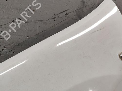 Left front fenders DACIA SANDERO II 1.2 | BP24679074C41