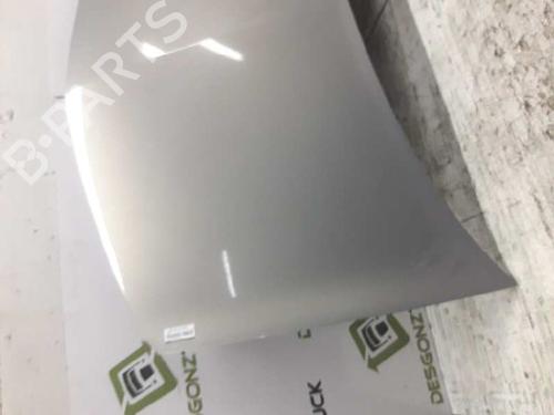 Hood RENAULT MEGANE II (BM0/1_, CM0/1_)  | BP21457900C1 