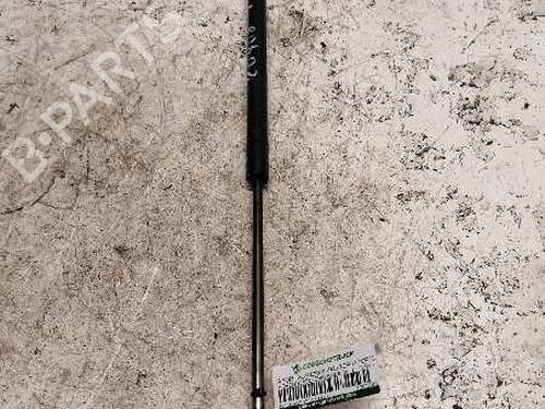 Used Tailgate lift support FORD FIESTA V (JH_, JD_) [2001-2014]  21479321