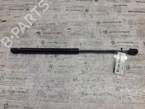 Gassdemper Bakluke RENAULT CLIO II (BB_, CB_) [1998-2016]  21456429