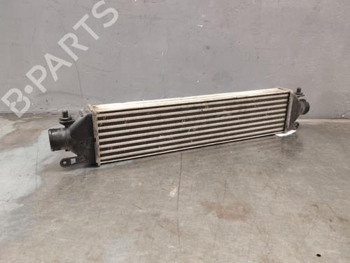 Used Intercooler Intercooler FIAT BRAVO II (198_) 1.9 D Multijet (198AXB1A) (120 hp) 40442646 40442646