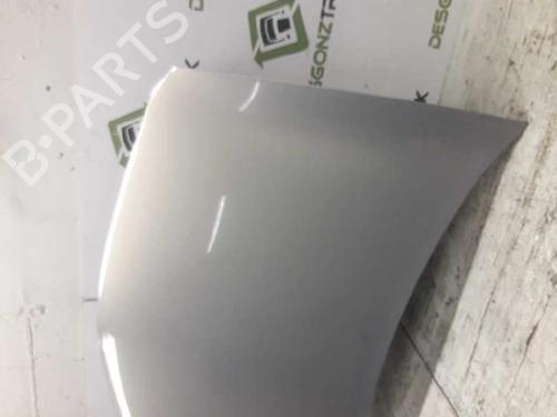 Hood RENAULT MEGANE II (BM0/1_, CM0/1_)  | BP21457900C1 