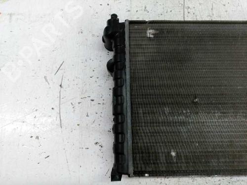 Water radiator SEAT IBIZA I (21A)  | BP21430377M31 
