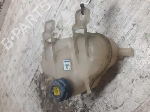 Expansion tank FIAT GRANDE PUNTO (199_)  | BP21471094C120