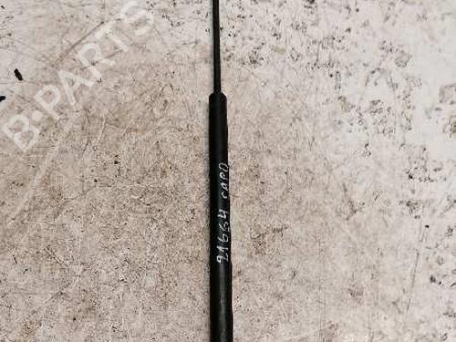 Hood lift support AUDI A3 (8L1) 1.9 TDI | BP21479196C139 