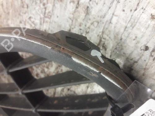 Grill FORD FOCUS II (DA_, HCP, DP)  | BP21463655C40 