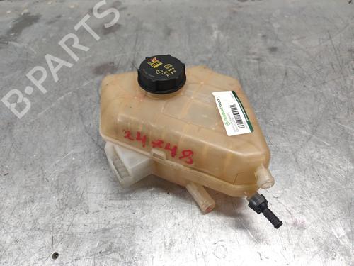 Used Expansion tank FORD ECOSPORT 1.0 EcoBoost (125 hp) 27162673