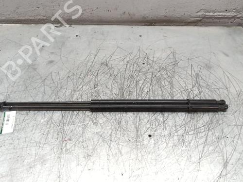 Used Tailgate lift support CITROËN XSARA PICASSO (N68) 1.6 16V (109 hp) 25791849