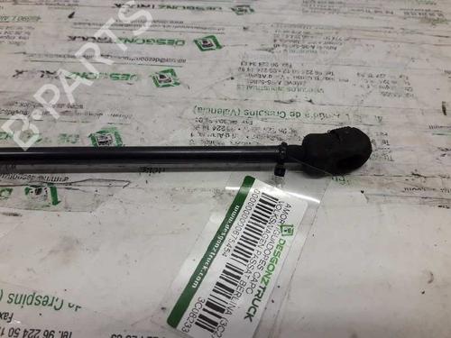 Hood lift support VW PASSAT B6 (3C2)  | BP21457289C139 