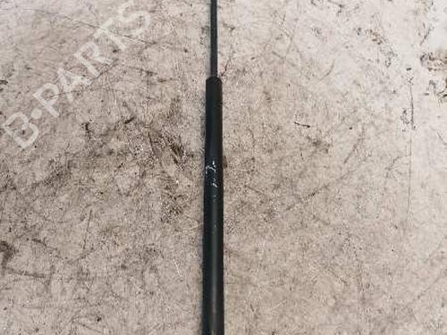 Gasdæmper bagklap FORD FOCUS C-MAX (DM2)  | BP21480770C138 