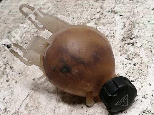 Used Expansion tank PEUGEOT 207 (WA_, WC_) [2006-2015]  21477307