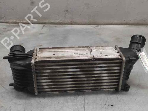 Intercooler PEUGEOT 407 SW (6E_, 6D_)  | BP21414019M30 
