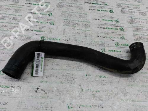 Used Pipe CITROËN XSARA (N1) 1.9 D (68 hp) 21446960