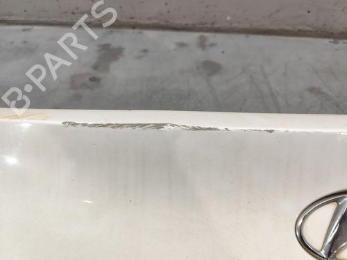 Tailgate handle HYUNDAI ix35 (LM, EL, ELH) 1.7 CRDi | BP24216742C132 