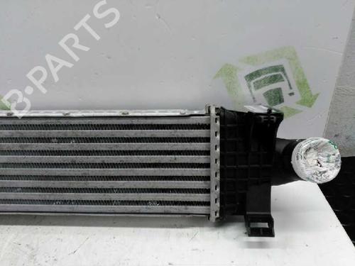 Intercooler FORD FOCUS II (DA_, HCP, DP)  | BP21432541M30 