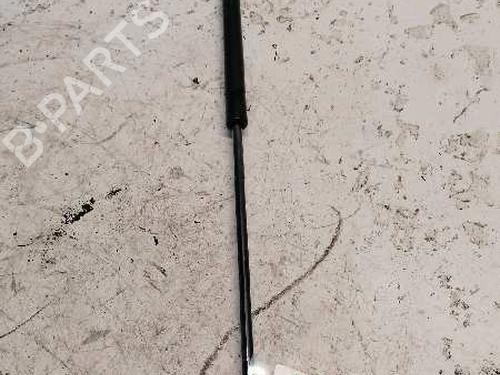 Used Tailgate lift support FORD FOCUS C-MAX (DM2) [2003-2007]  21479911