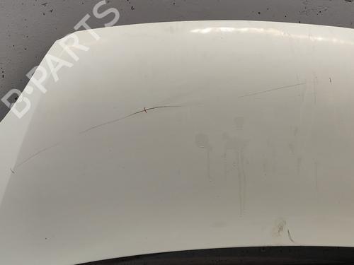 Motorkap IVECO DAILY IV Van | BP30897850C1