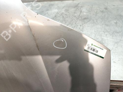 Hood OPEL VECTRA B (J96)  | BP24586513C1 
