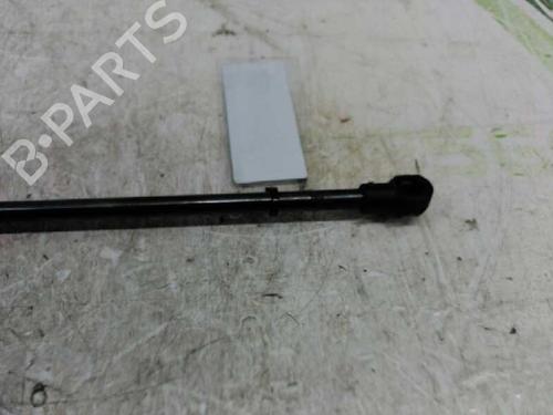 Hood lift support CITROËN XSARA (N1)  | BP21436669C139 