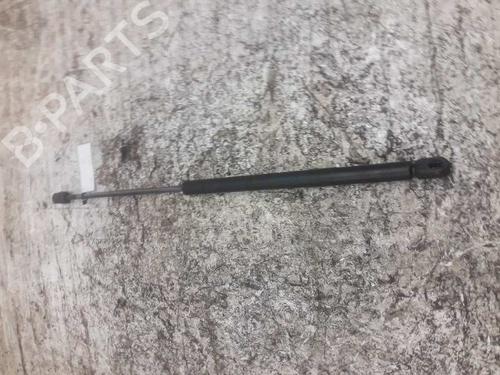 Tailgate lift support SEAT IBIZA II (6K1)  | BP21464900C138 