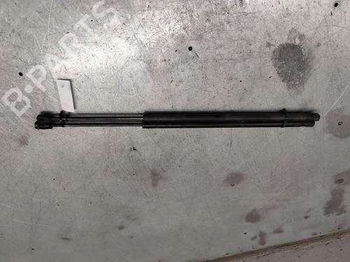 Tailgate lift support FORD FIESTA V (JH_, JD_)  | BP22248101C138 