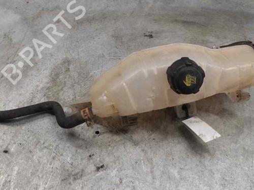 Used Expansion tank RENAULT CLIO III (BR0/1, CR0/1) [2005-2014]  21411993