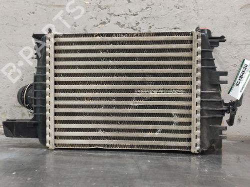 Intercooler RENAULT CAPTUR I (J5_, H5_) 1.5 dCi 90 (J5N4, J5M5, J5MW, J5M6, J5AL, J5AJ) | BP31216187M30