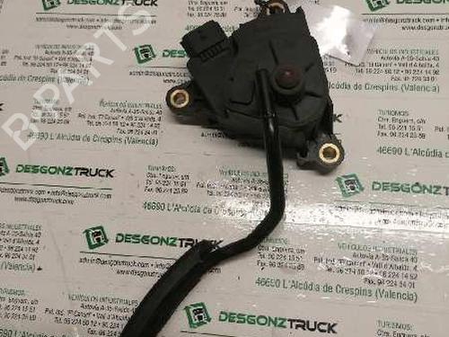 Pedal RENAULT MEGANE II (BM0/1_, CM0/1_)  | BP21474950I4 