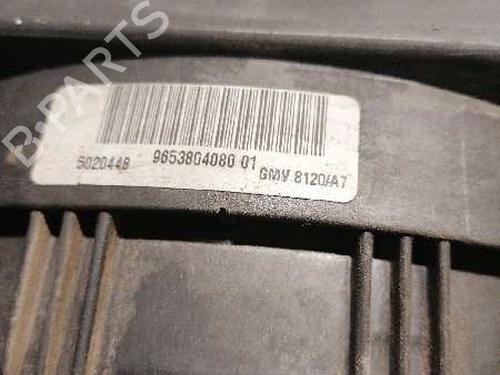 Radiator fan PEUGEOT 207 (WA_, WC_)  | BP21477565M35 